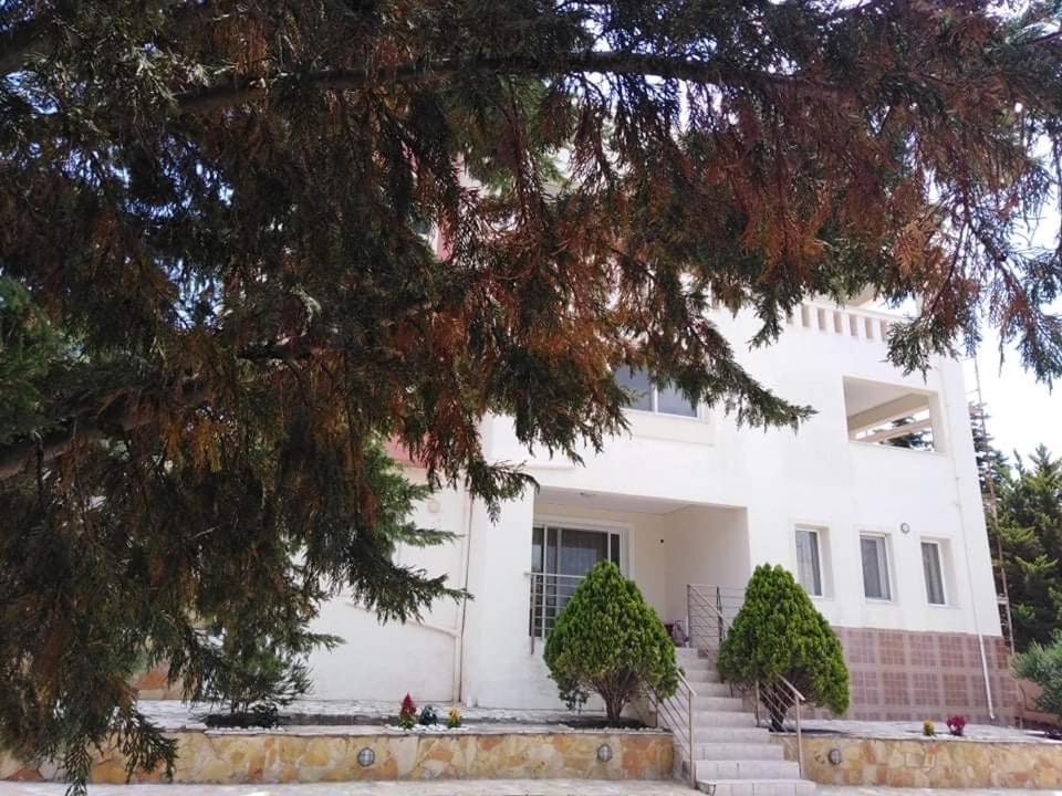 Treasures B&B Paloukia Kültér fotó