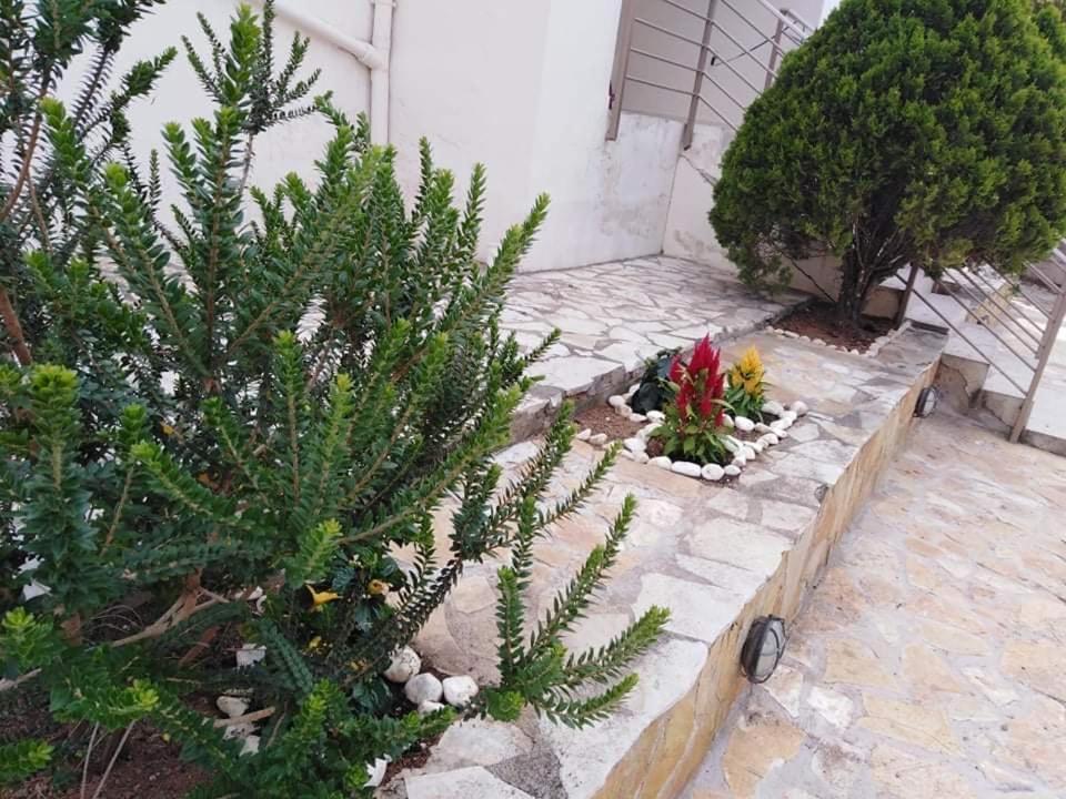 Treasures B&B Paloukia Kültér fotó