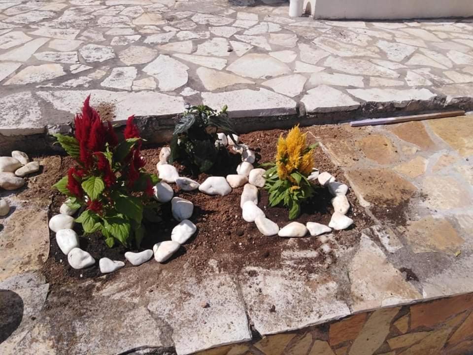 Treasures B&B Paloukia Kültér fotó